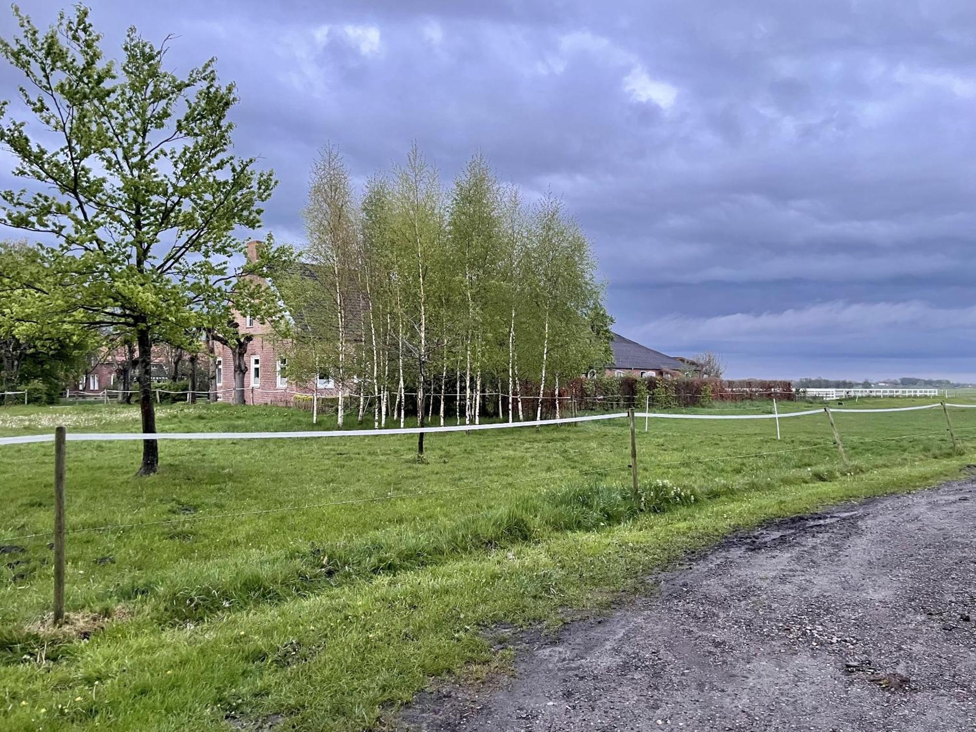 Bunde Steinhaus Hof别墅 外观 照片